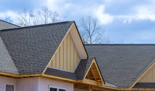 Best Solar Panel Roofing Installation  in Essex Village, CT